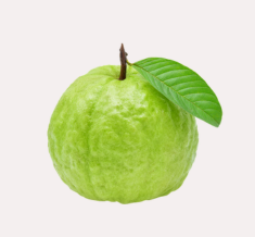 Fresh guava