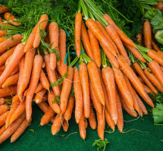 Fresh Carrot - Image 2