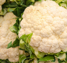 Fresh Cauliflower (Export Quality) - Image 2