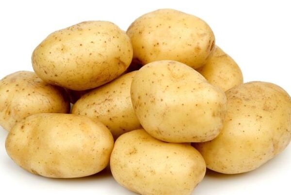 Bangladesh Round Potato (Fresh Table Potato)